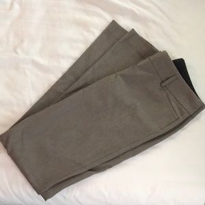 Express pants